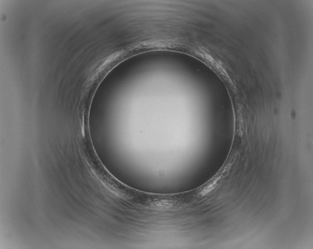 X0000078830062200611271307