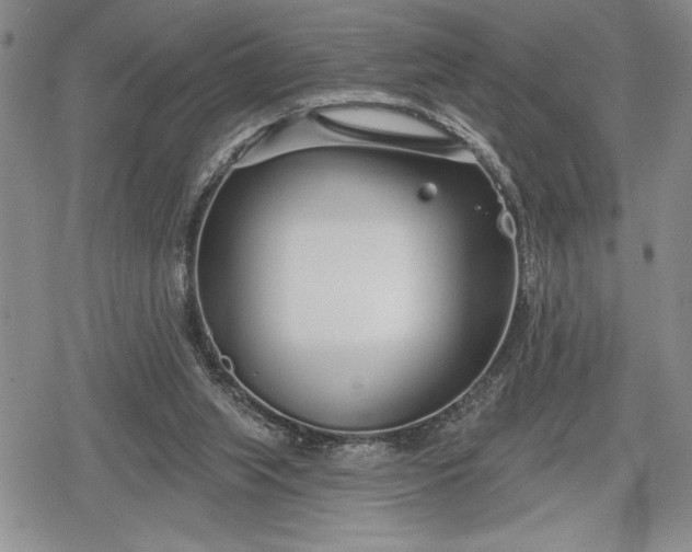 X0000078830063200611271307