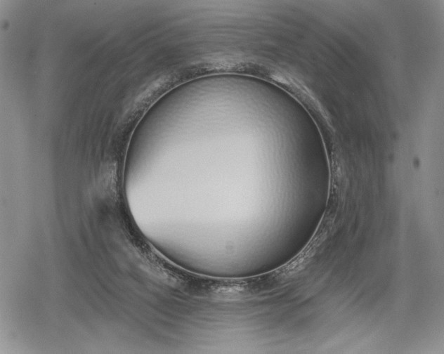 X0000078830066200611271307