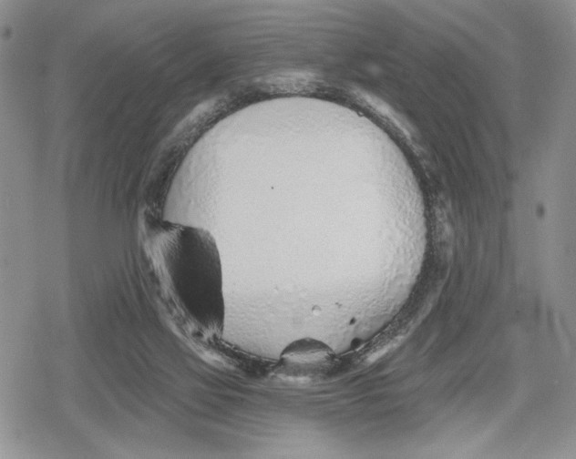 X0000078830069200611271307