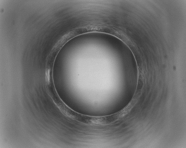 X0000078830070200611271307