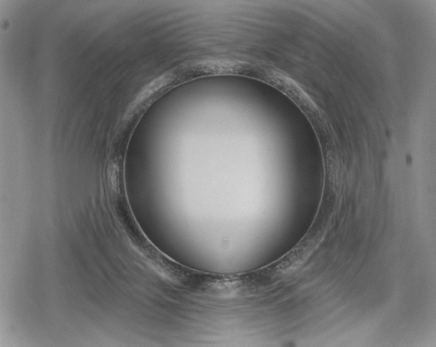 X0000078830071200611271307