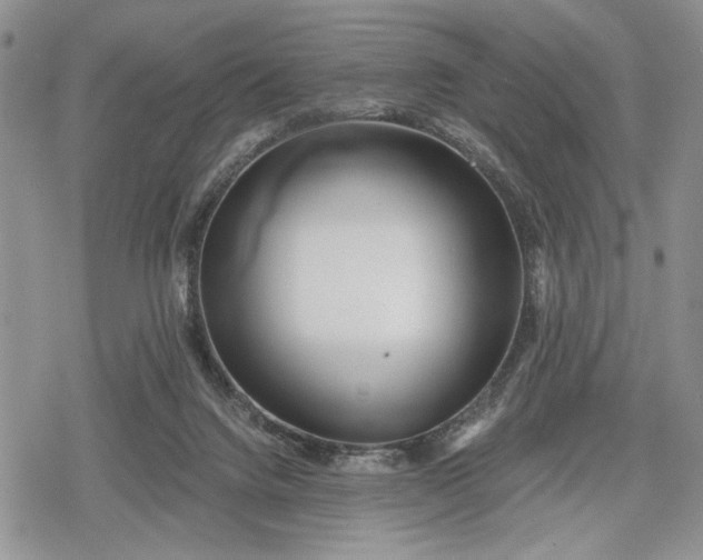 X0000078830072200611271307