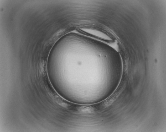 X0000078830073200611271307