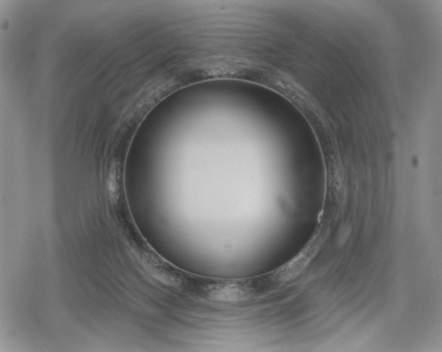 X0000078830074200611271307