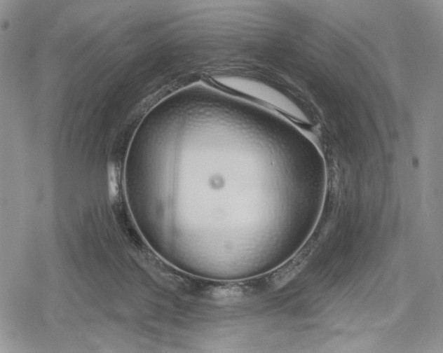 X0000078830075200611271307