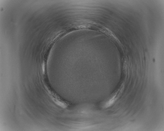 X0000078830076200611271307