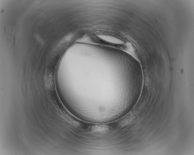 X0000078830077200611271307