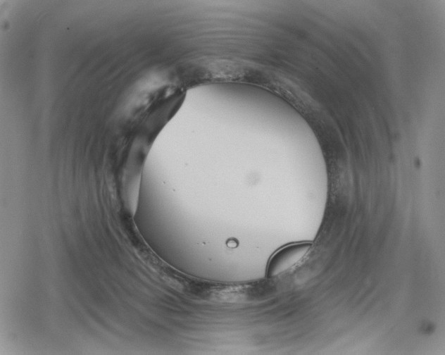 X0000078830078200611271307