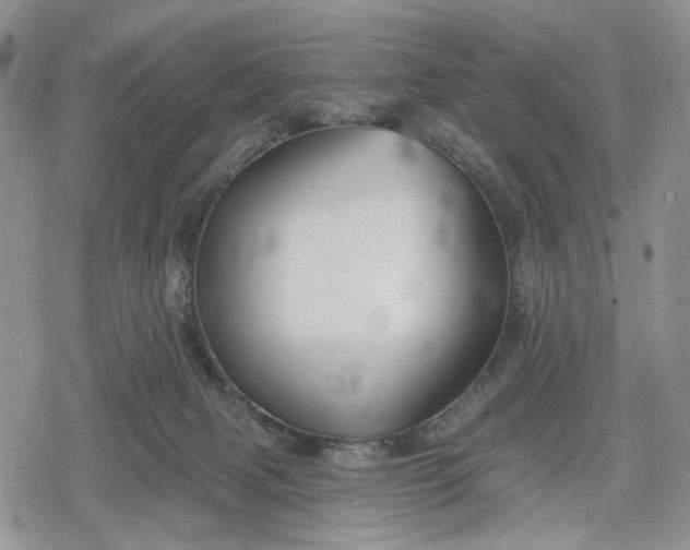 X0000078830079200611271307