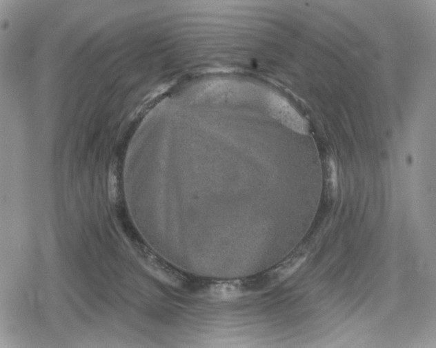 X0000078830080200611271307