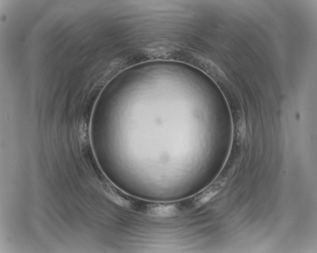 X0000078830081200611271307