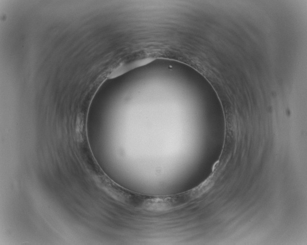 X0000078830082200611271307