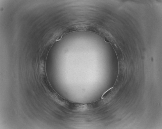 X0000078830083200611271307