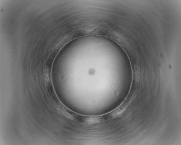 X0000078830085200611271308