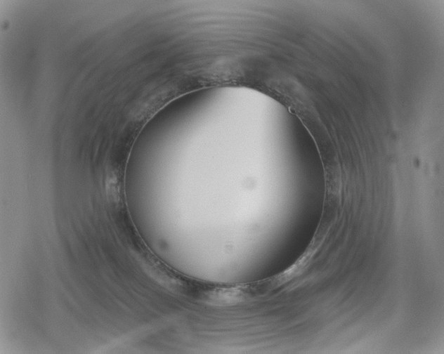 X0000078830086200611271308