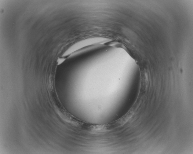 X0000078830088200611271308