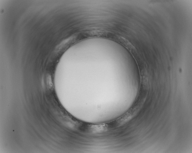 X0000078830089200611271308