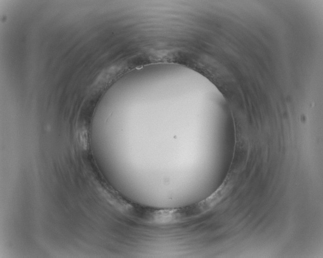 X0000078830090200611271308