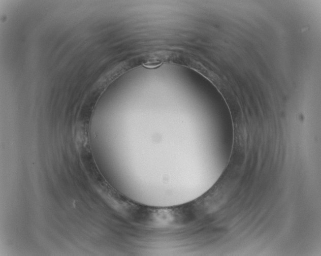 X0000078830091200611271308