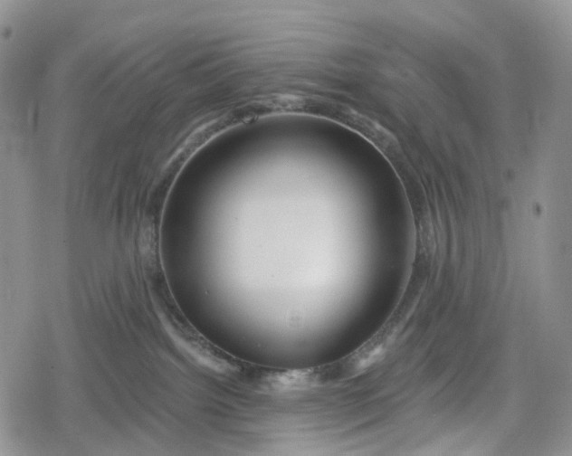 X0000078830092200611271308