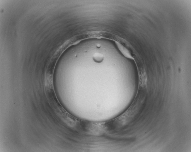 X0000078830093200611271308