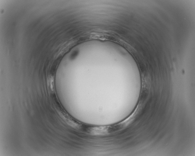 X0000078830094200611271308