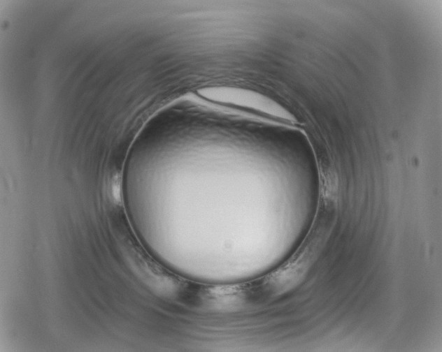 X0000078830095200611271308