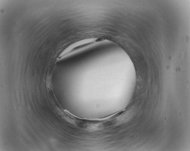 X0000078830096200611271308