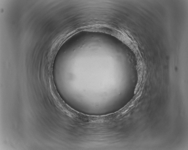 X0000078830097200611271307