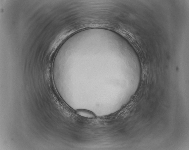 X0000078830098200611271307