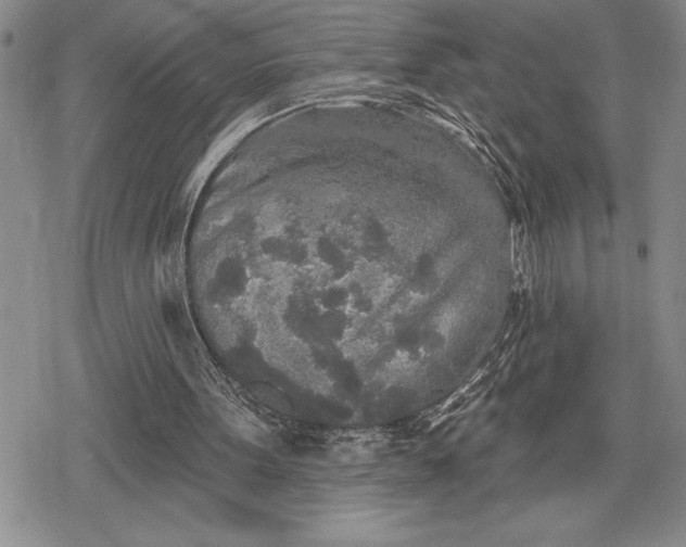 X0000078830099200611271307