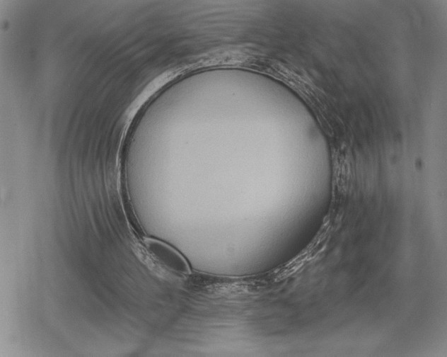 X0000078830100200611271307