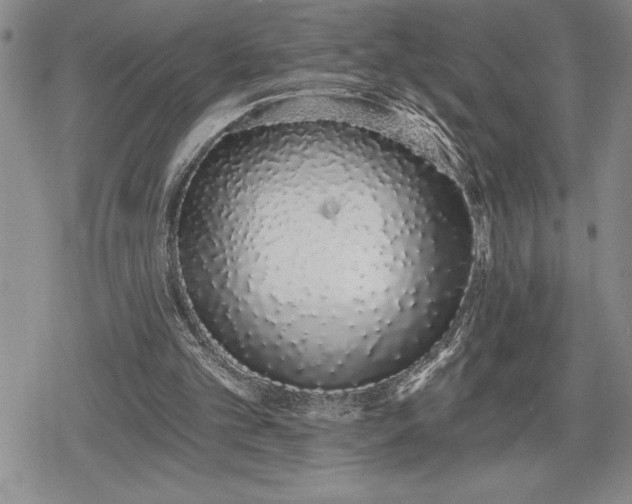 X0000078830101200611271307