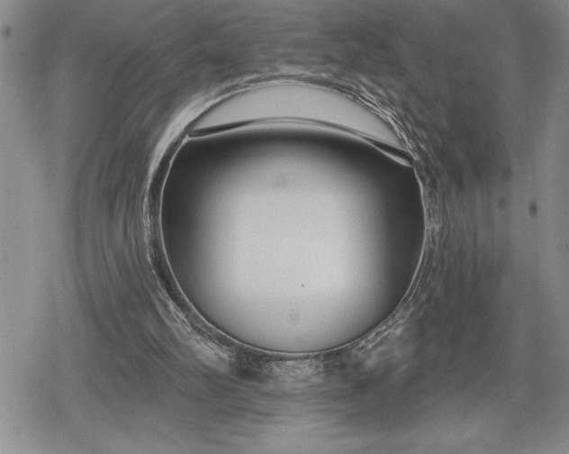 X0000078830102200611271307