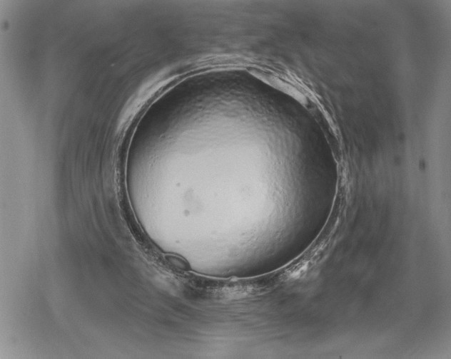 X0000078830103200611271307