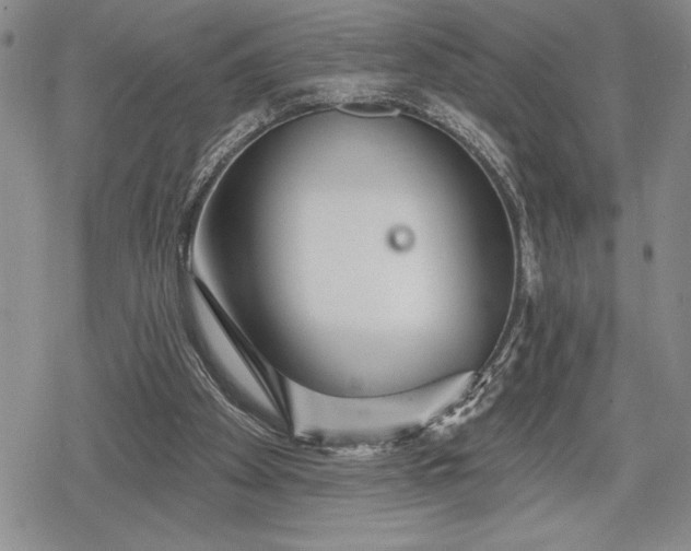 X0000078830105200611271307