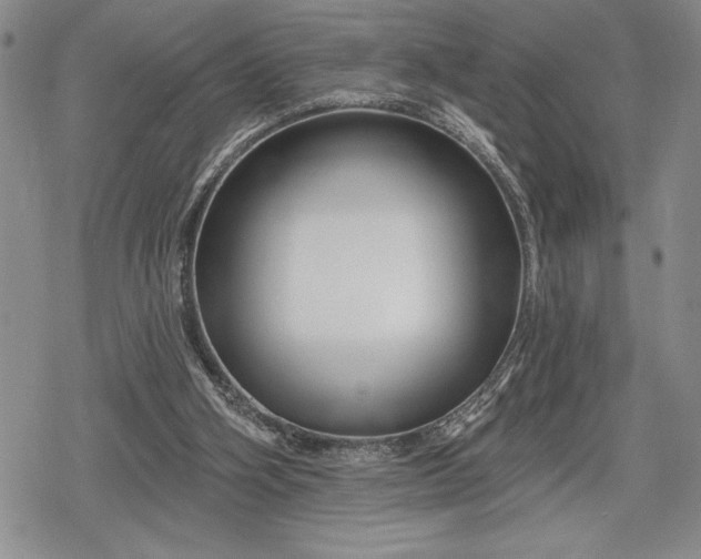 X0000078830106200611271307