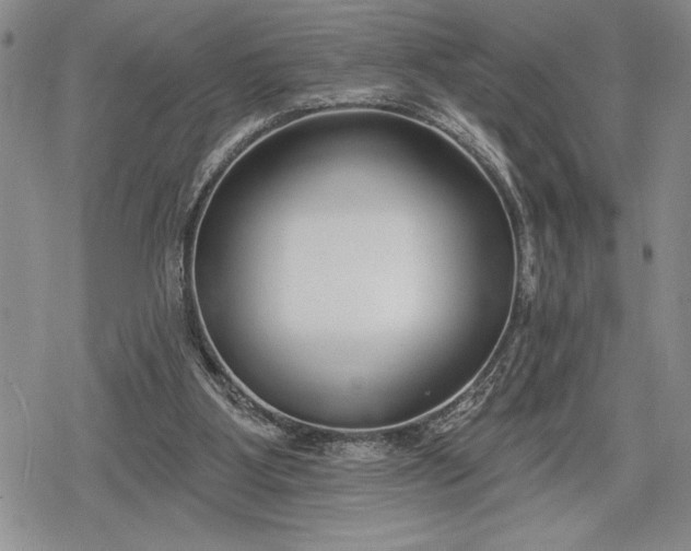 X0000078830107200611271307