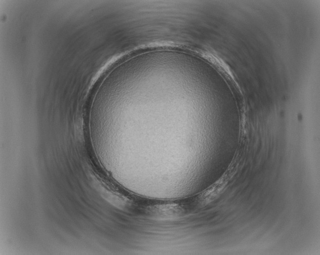 X0000078830108200611271307