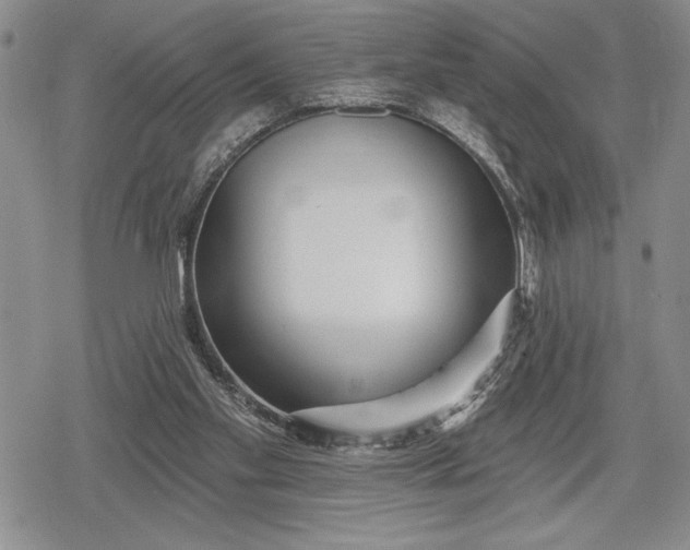 X0000078830109200611271307