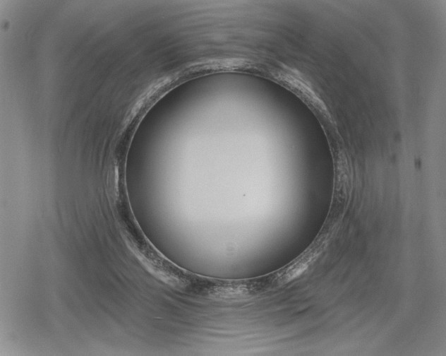 X0000078830110200611271307