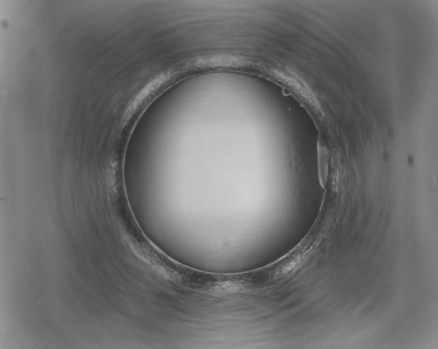 X0000078830111200611271307