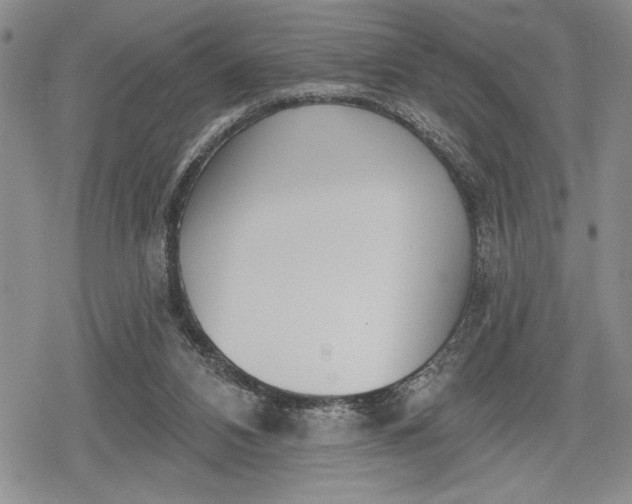 X0000078830112200611271307