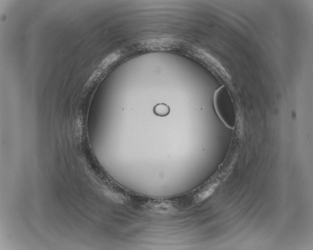 X0000078830113200611271307