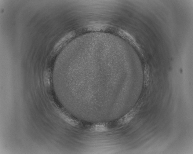 X0000078830114200611271307