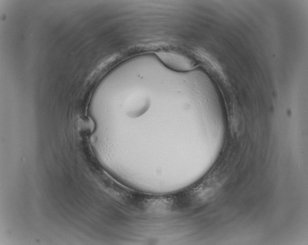 X0000078830115200611271307