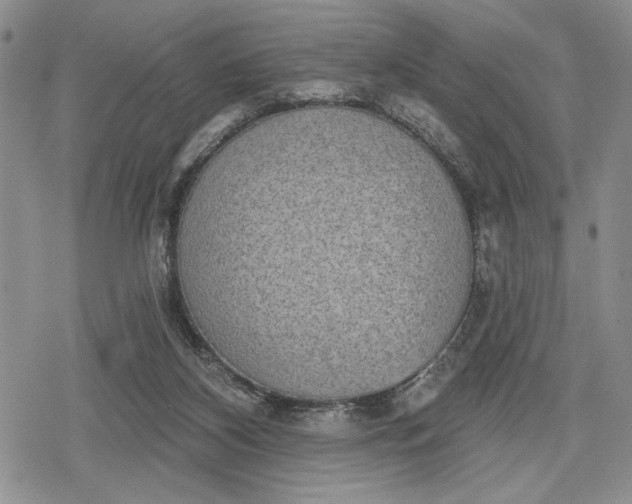 X0000078830116200611271307