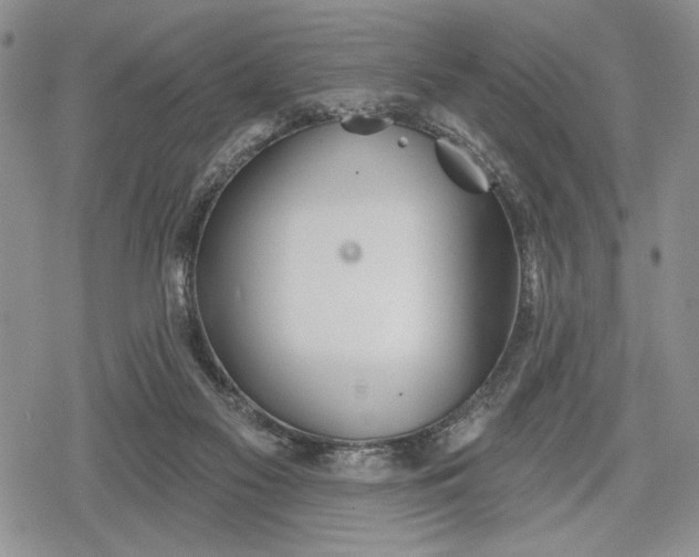 X0000078830117200611271307