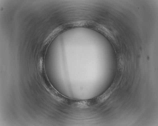 X0000078830118200611271307